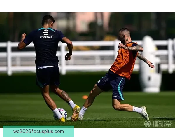 乌迪内斯俱乐部发展历程与未来战略全面解析