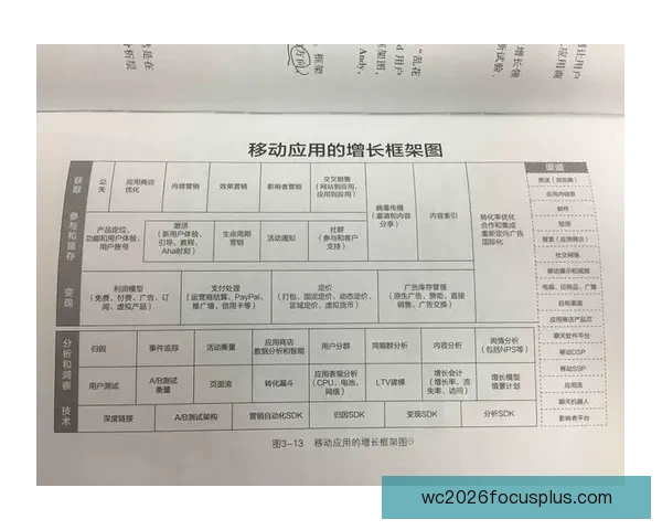 教你轻松看懂足球赔率技巧全面解析与实战应用